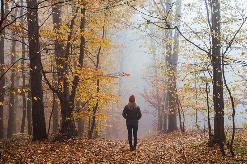 Protection des renseignements personnels