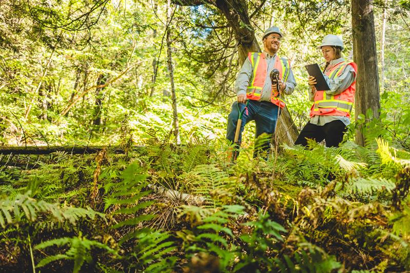 Demandes d’autorisations et de permis 