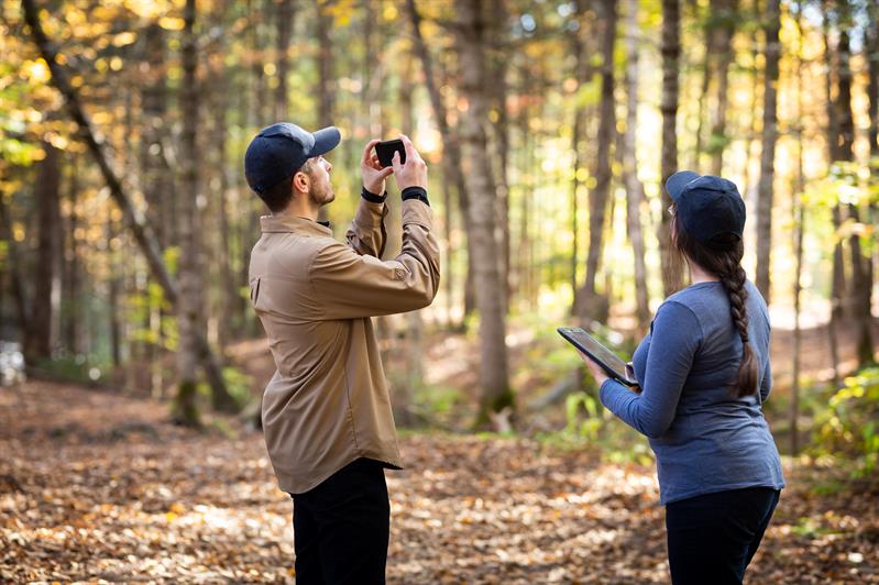 Études d'impact environnemental et social