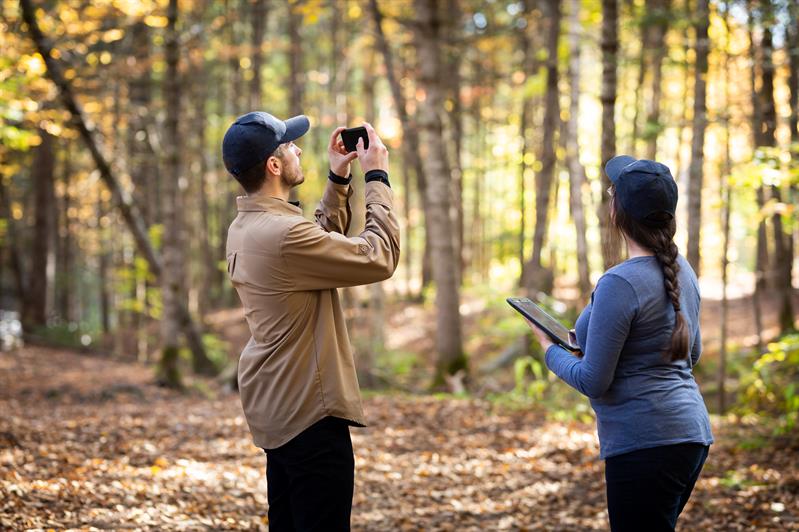 Études d'impact environnemental et social