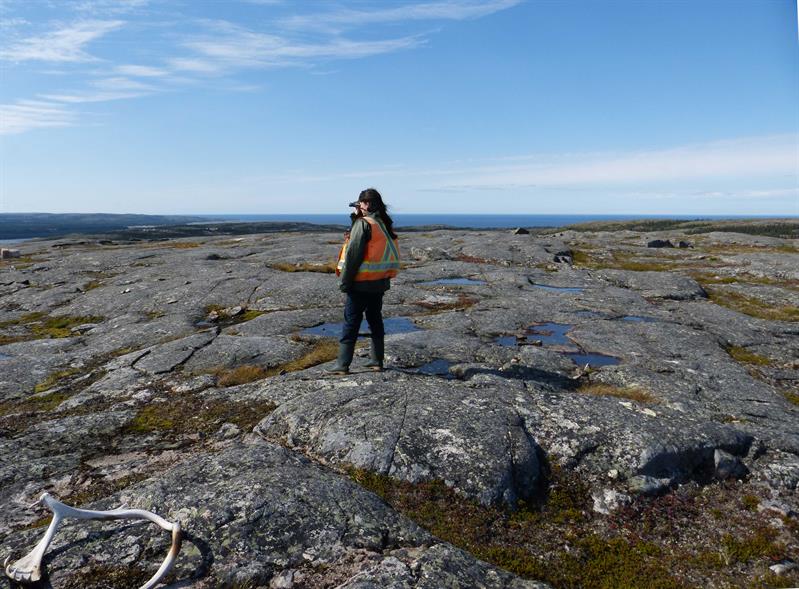Communautés Nordiques